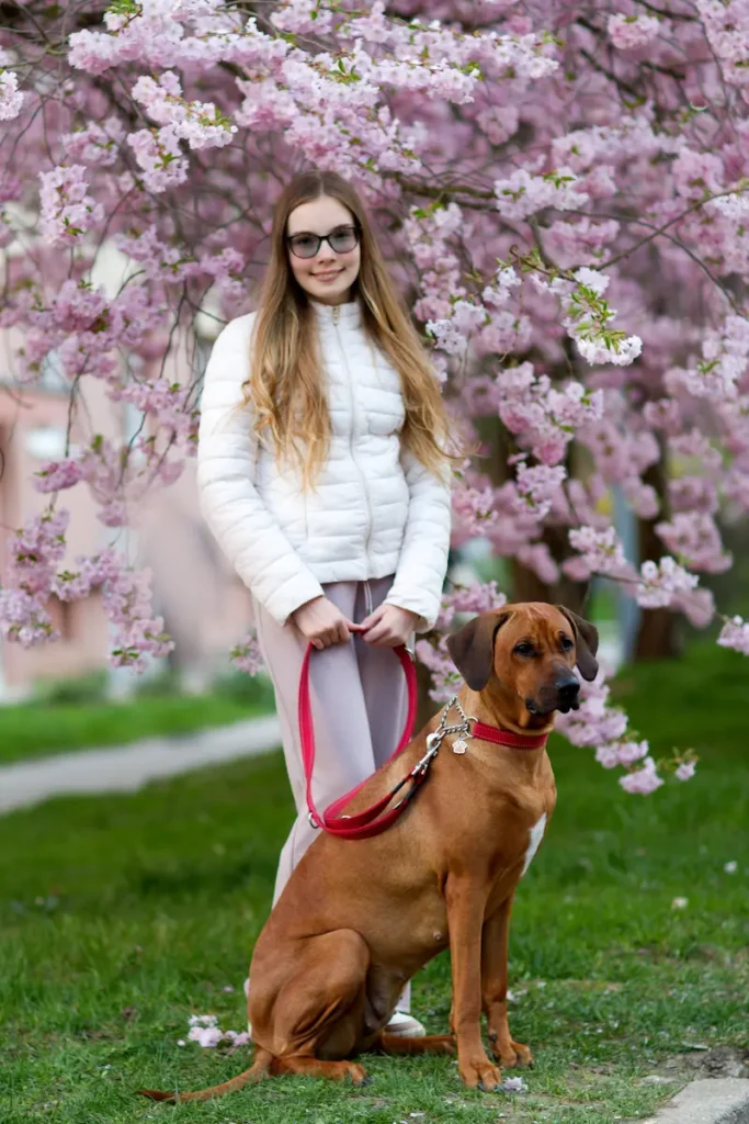 Chovatelská stanice Oči sfingy