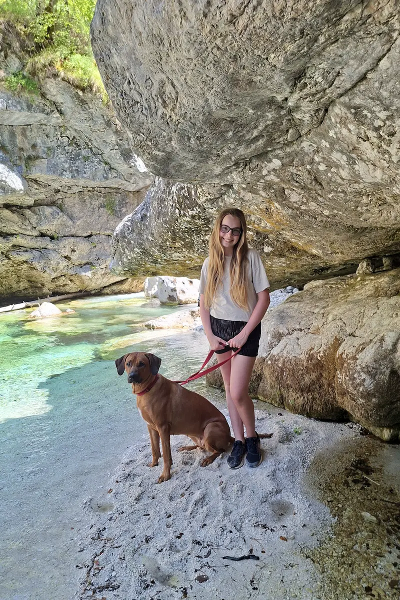 Chovatelský blog o rhodéském ridgebackovi