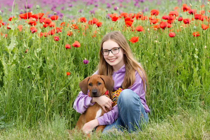 Galerie fotek Oči sfingy -  rhodéský ridgeback