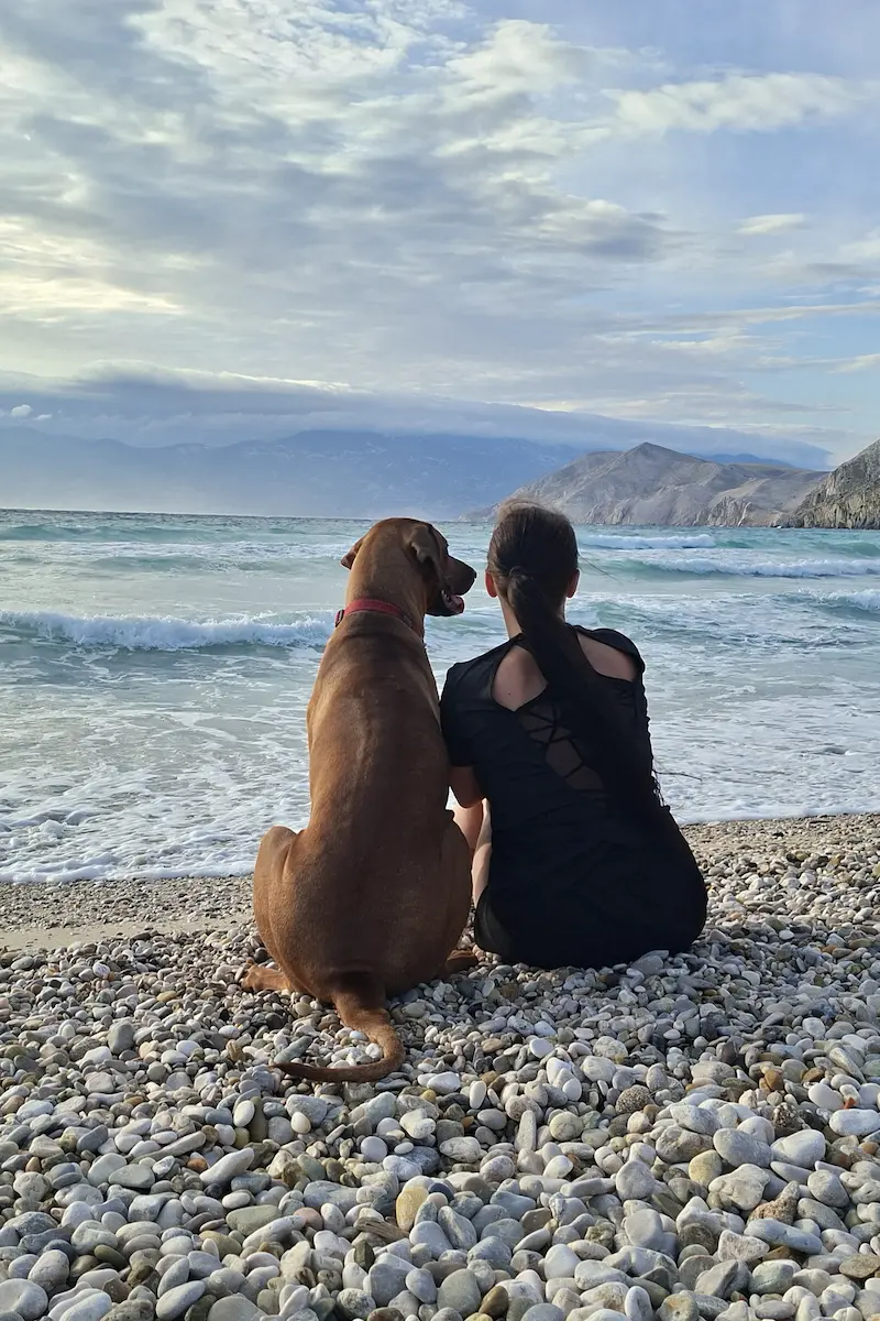 Okamžiky ze života rhodéského ridgebacka