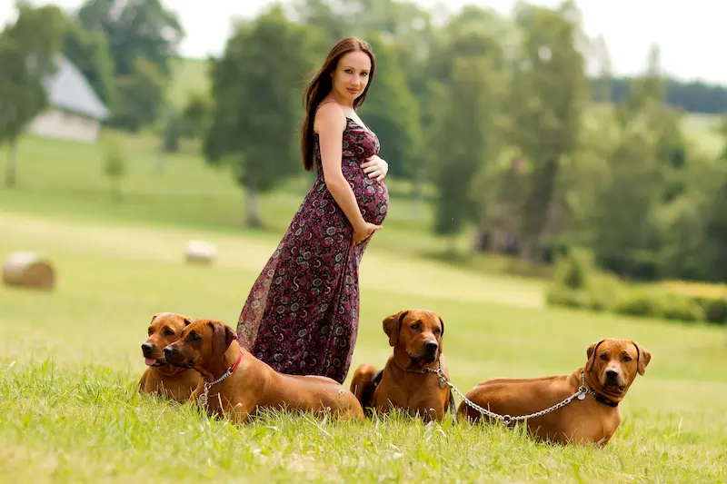 Rhodéský ridgeback, Chovatelská stanice Oči sfingy
