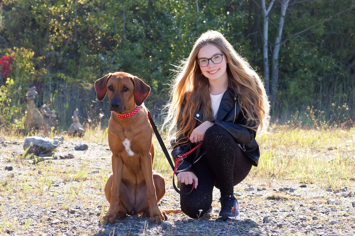 Naši psi | Rhodéští ridgebackové a naše rodina 2 Rhodesky ridgeback Sophie