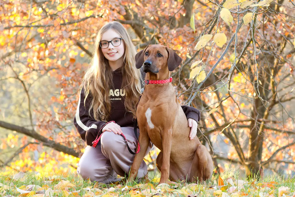 Believe Sweet Sophia - Rhodéský ridgeback