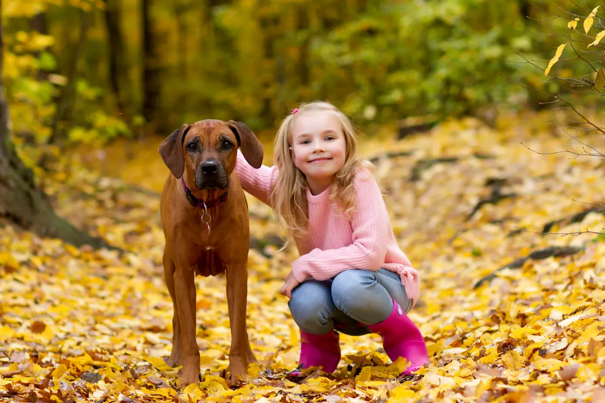 Beauty Tiffany Oči sfingy - Rhodéský ridgeback