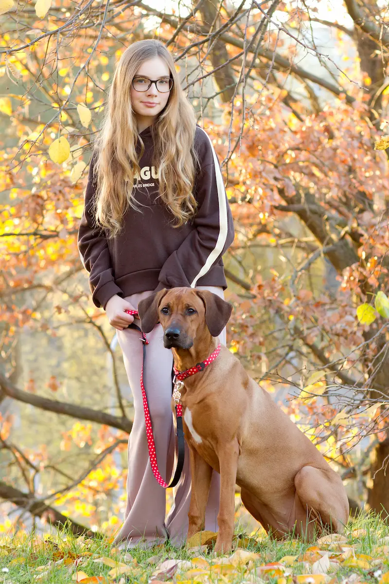 Naši psi | Rhodéští ridgebackové a naše rodina 24 Naše psi - Rhodéští ridgbeackové