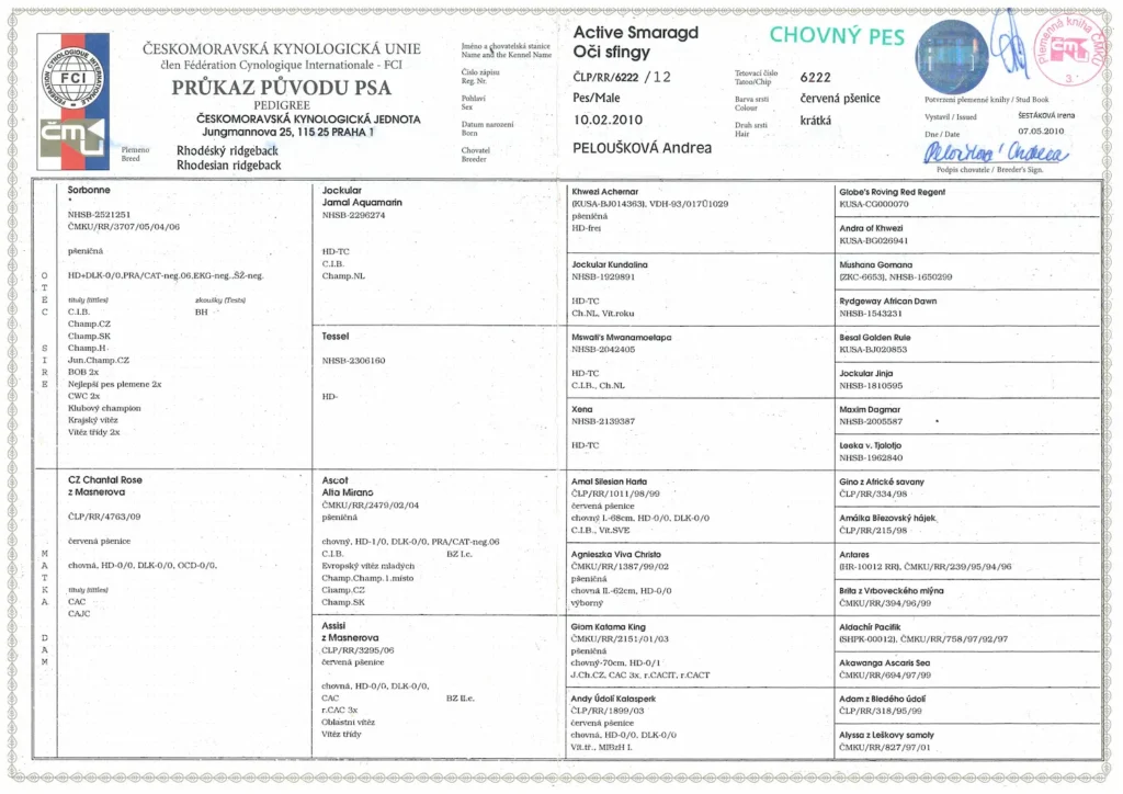 Active Smaragd Oči sfingy 3 Průkaz původu Active Smaragd Oči sfingy