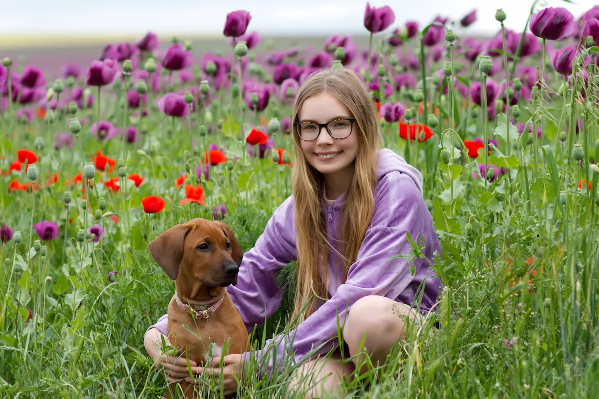 Believe Sweet Sophia jako štěňátko rhodéského ridgebacka