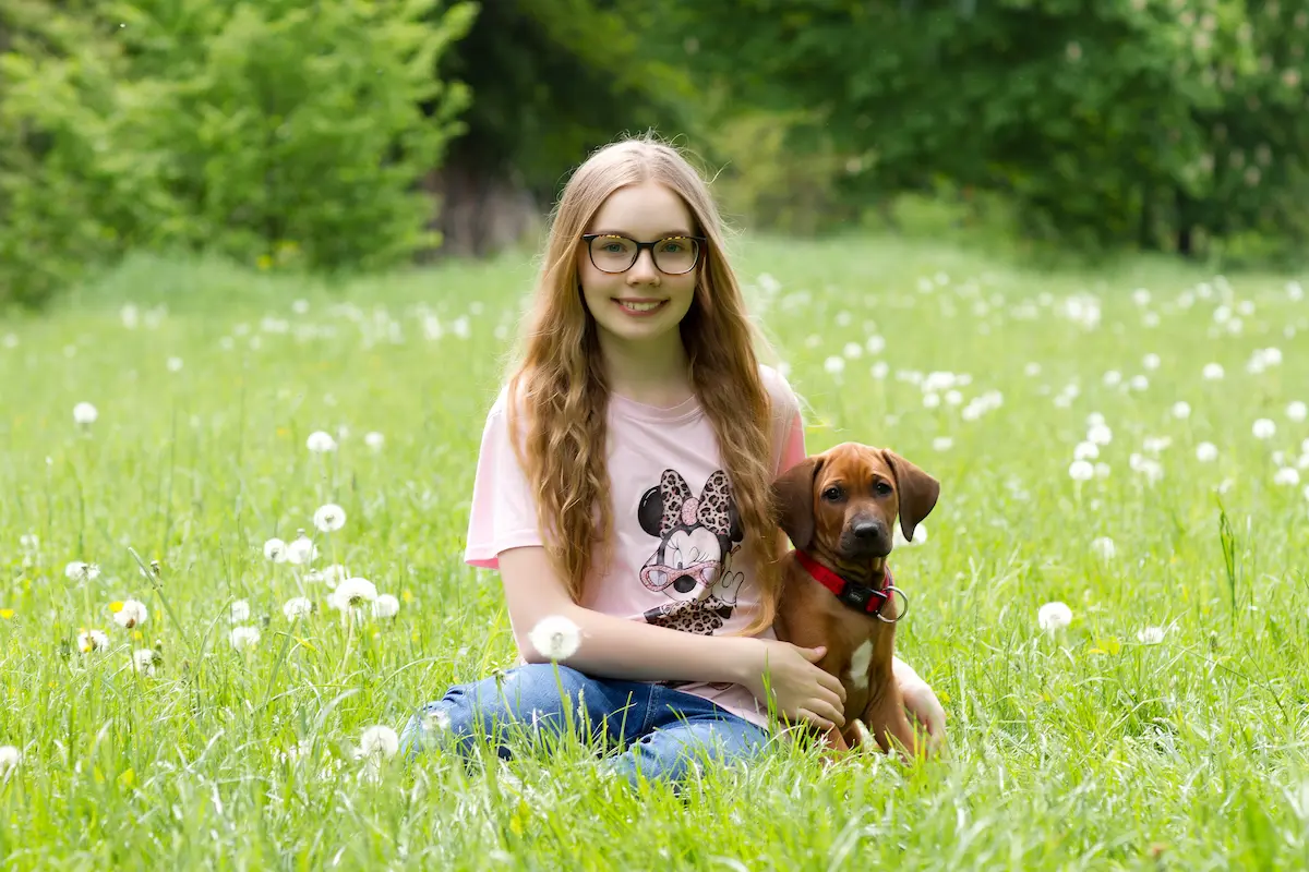 Believe Sweet Sophia jako štěňátko rhodéského ridgebacka